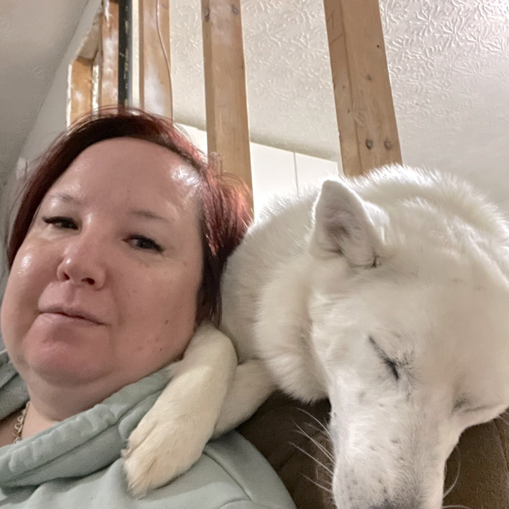 Meet your Posher, Angel